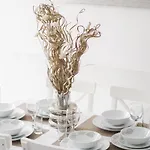Apartment Ms2